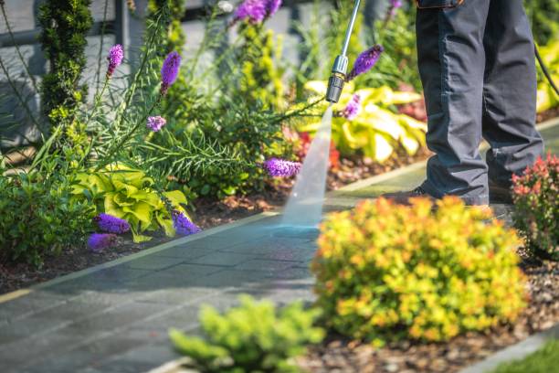 Best Fence Cleaning  in Pevely, MO